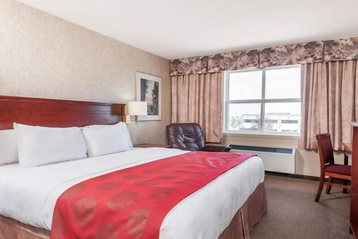 Une chambre d’hôtel avec un grand lit, un bureau, une chaise, une fenêtre avec des rideaux et un tableau encadré au mur.