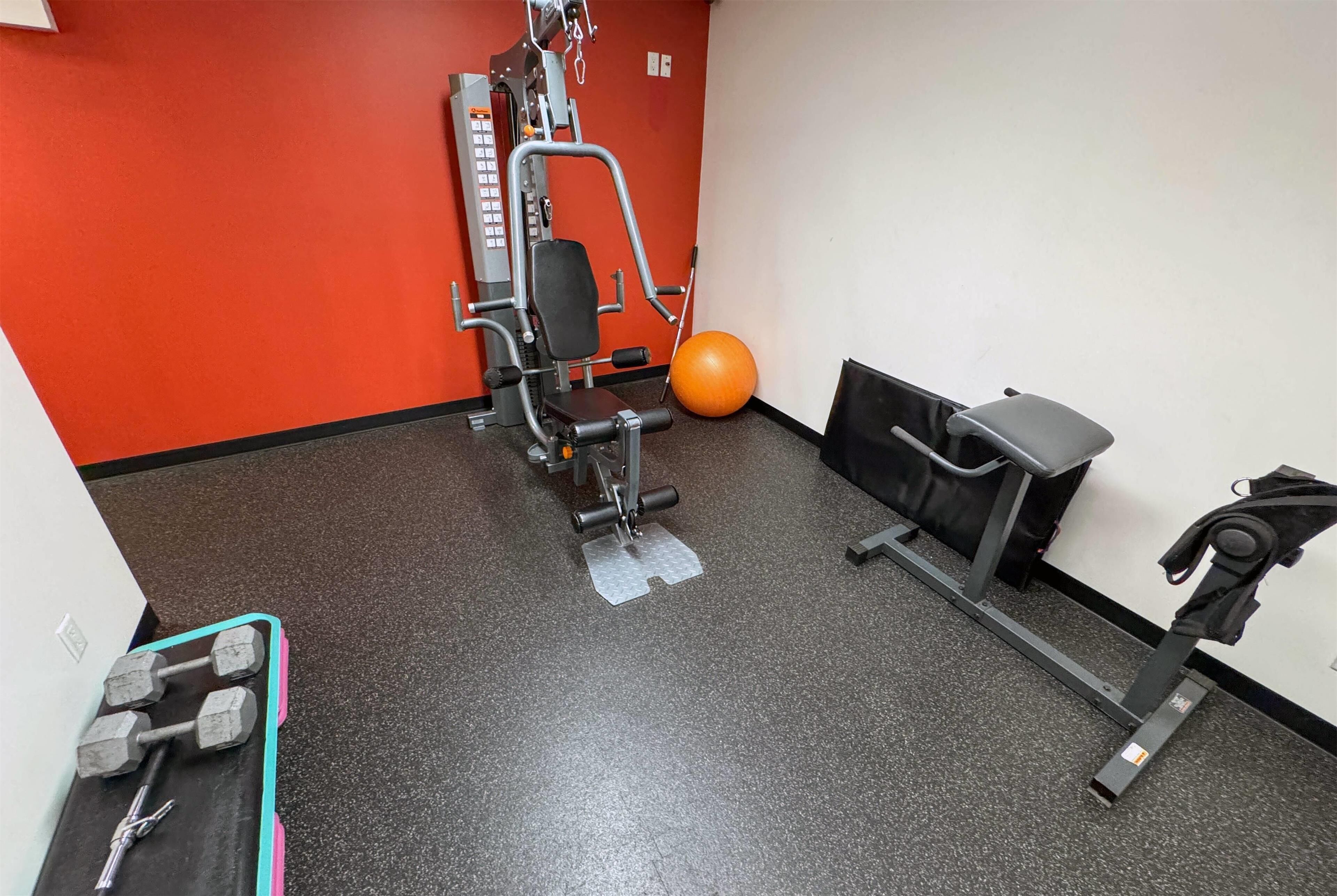 A gym with exercise equipment, a bench, and a medicine ball.