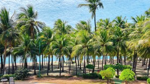 A paved area with palm trees and a view of the sea. - Marina Park (Fortaleza)