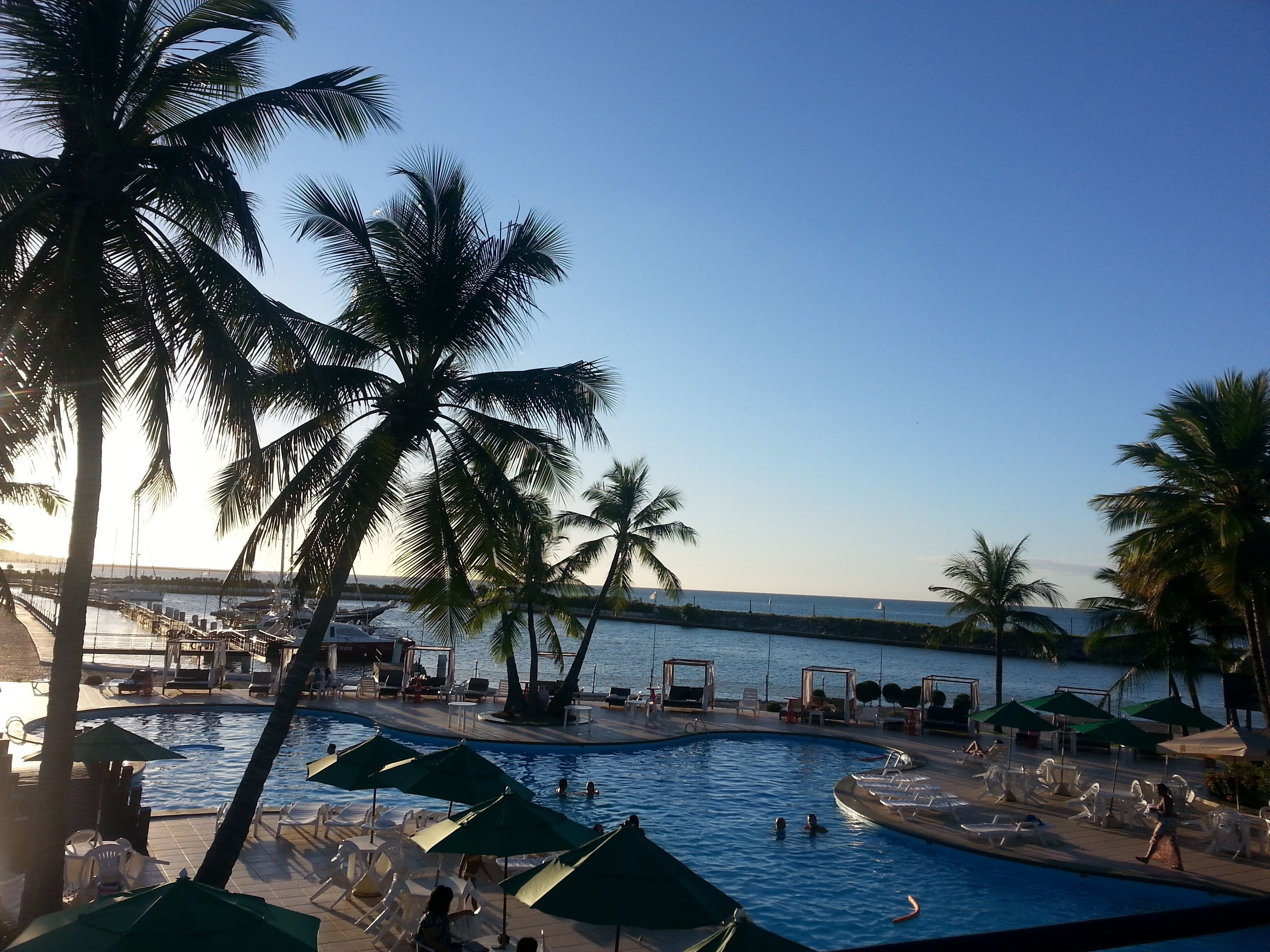 A swimming pool with lounge chairs and umbrellas, surrounded by palm trees, with a view of the sea.