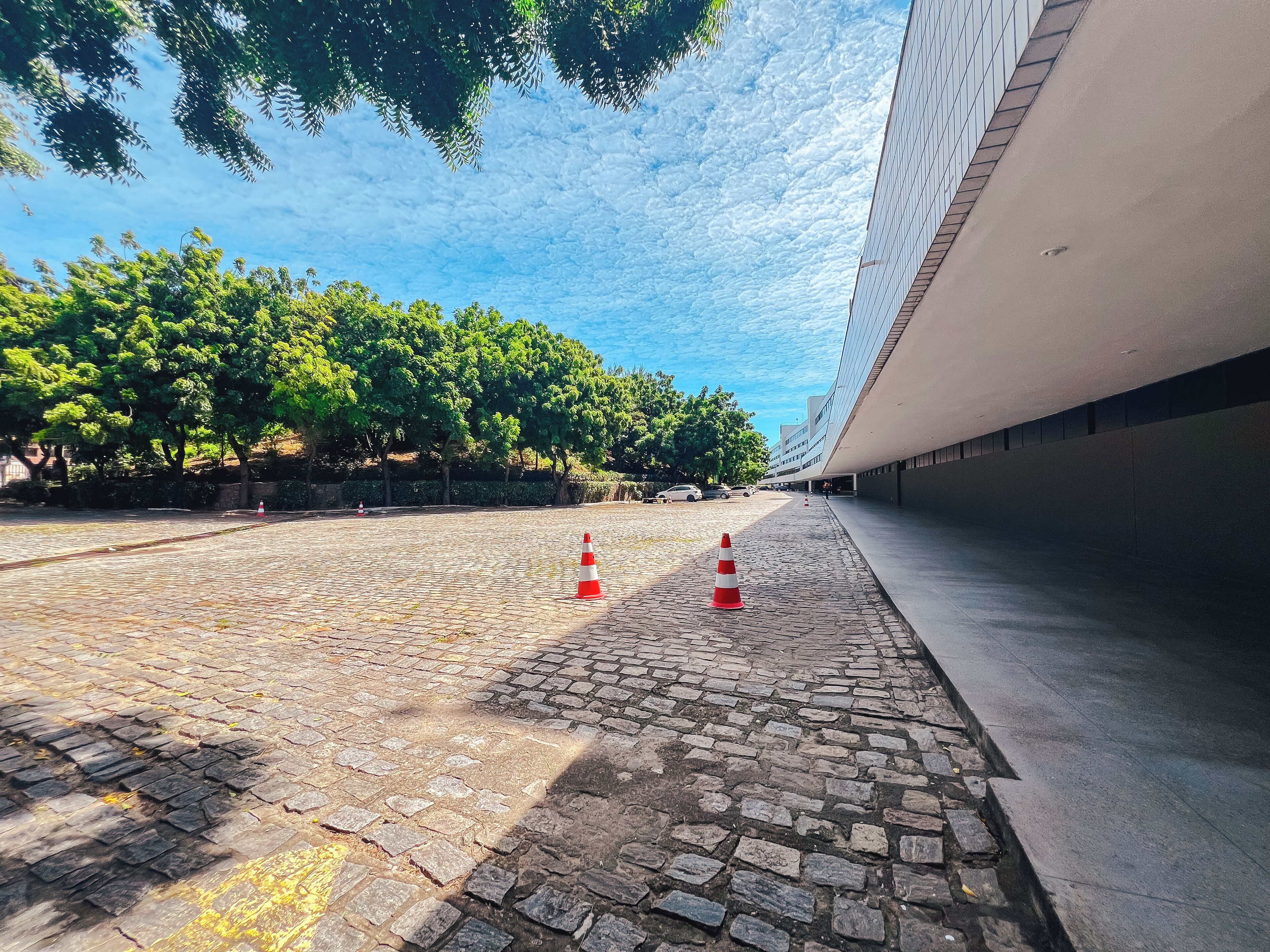A paved pathway with cobblestones, lined with trees and a modern building.