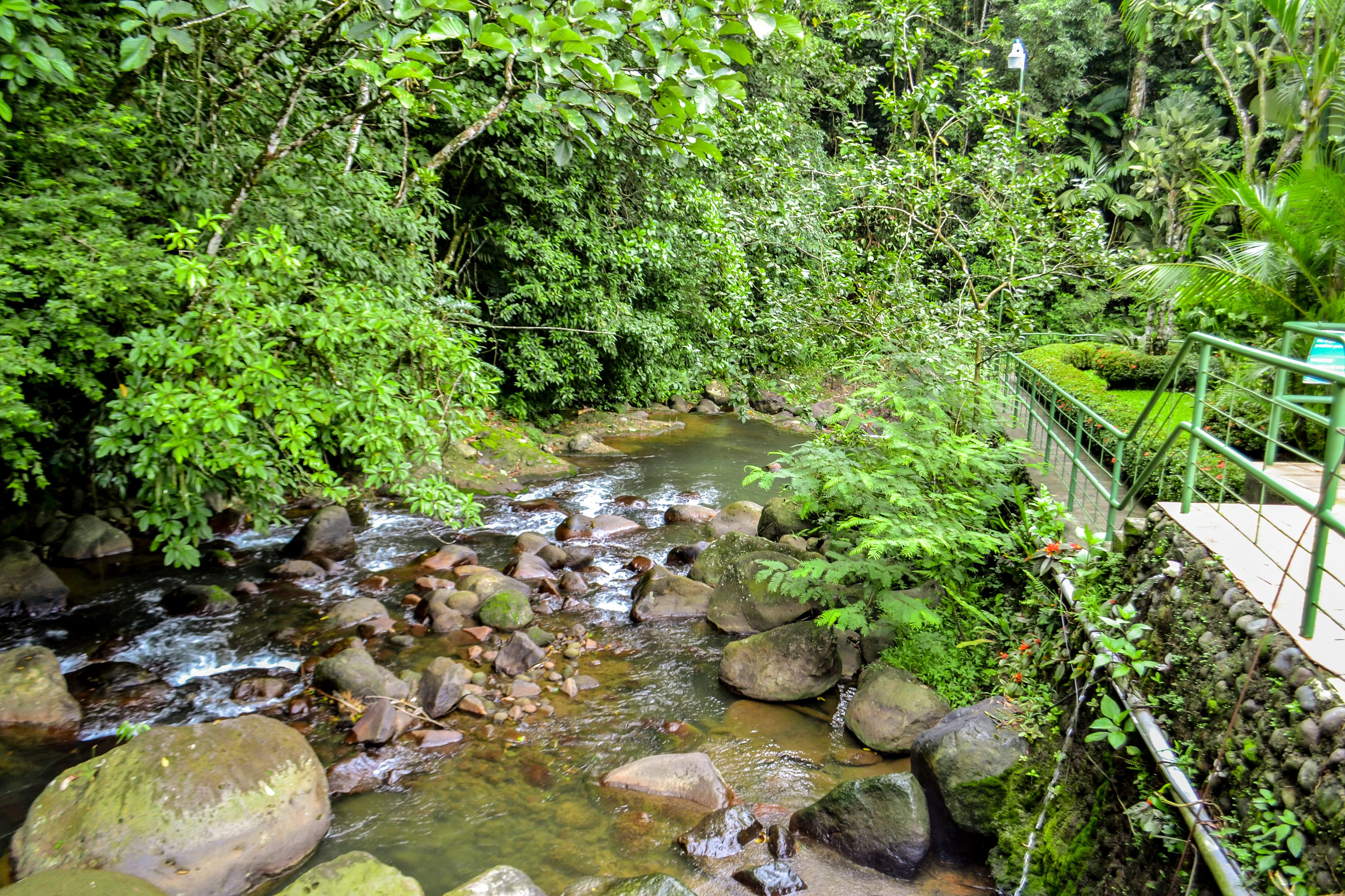A natural stream with rocks and dense foliage.