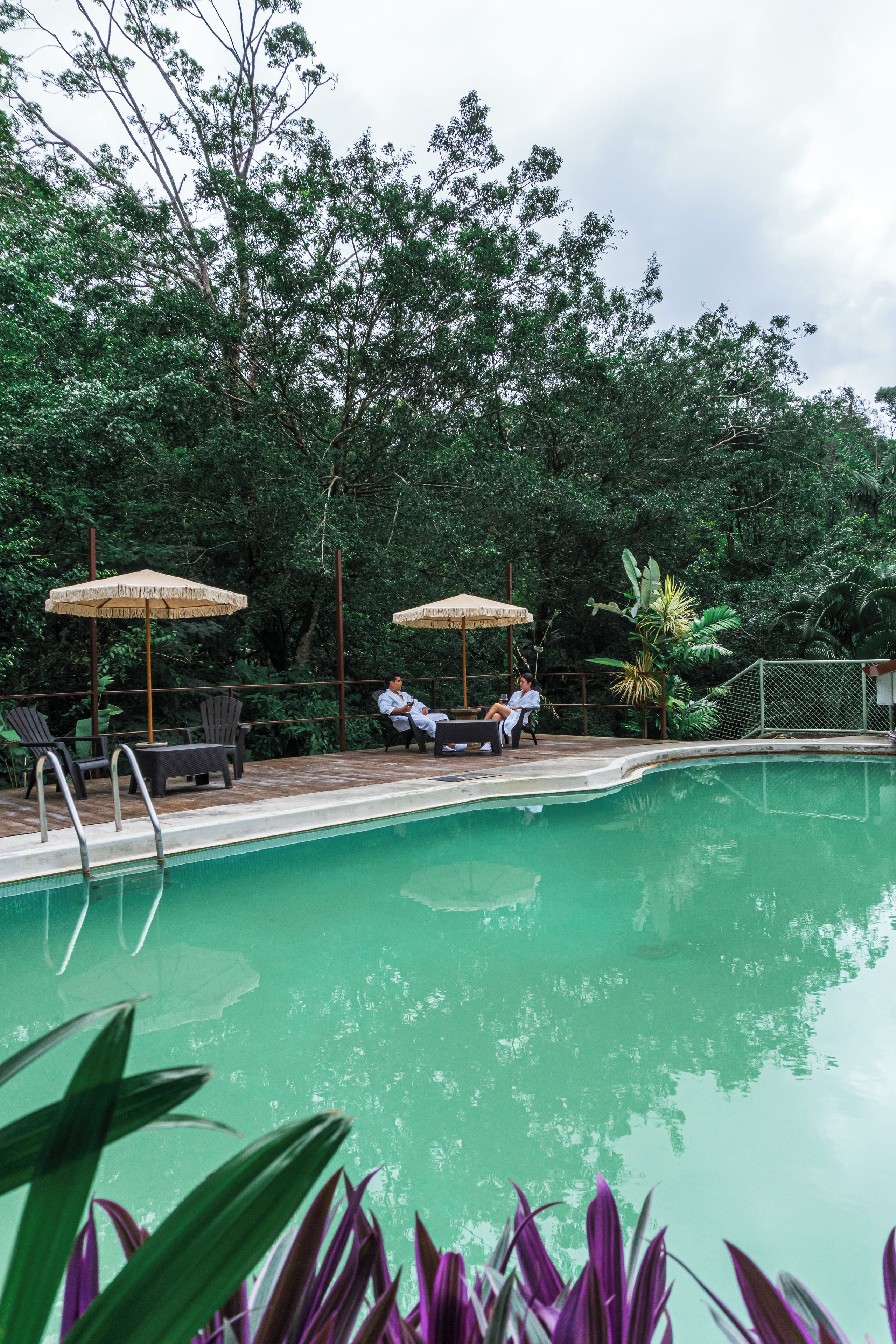 A swimming pool with two lounge chairs and umbrellas, surrounded by lush greenery.