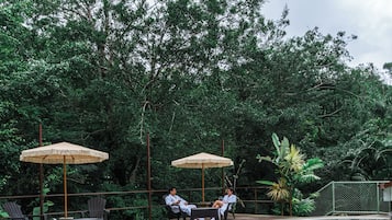 A swimming pool with two lounge chairs and umbrellas, surrounded by lush greenery.
