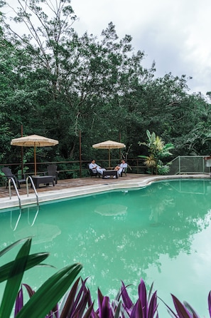 Piscina con dos sillas de descanso y sombrillas, rodeada de abundante vegetación.