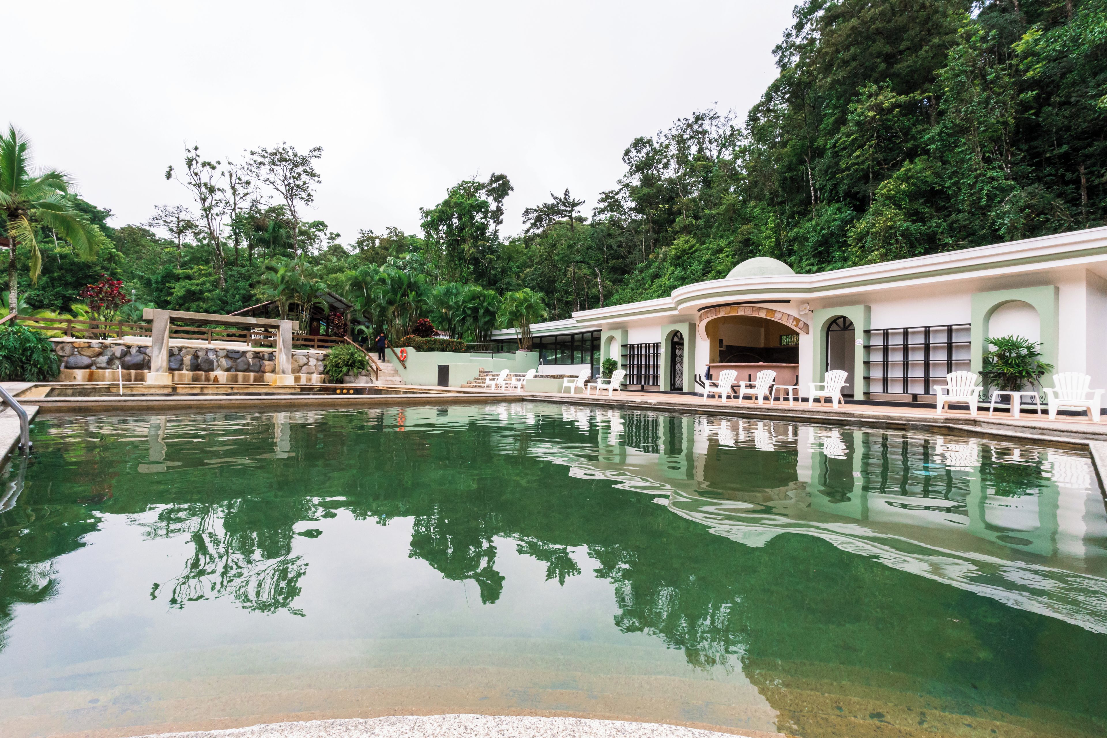 Una piscina con agua cristalina, rodeada de abundante vegetación y un edificio con fachada blanca.