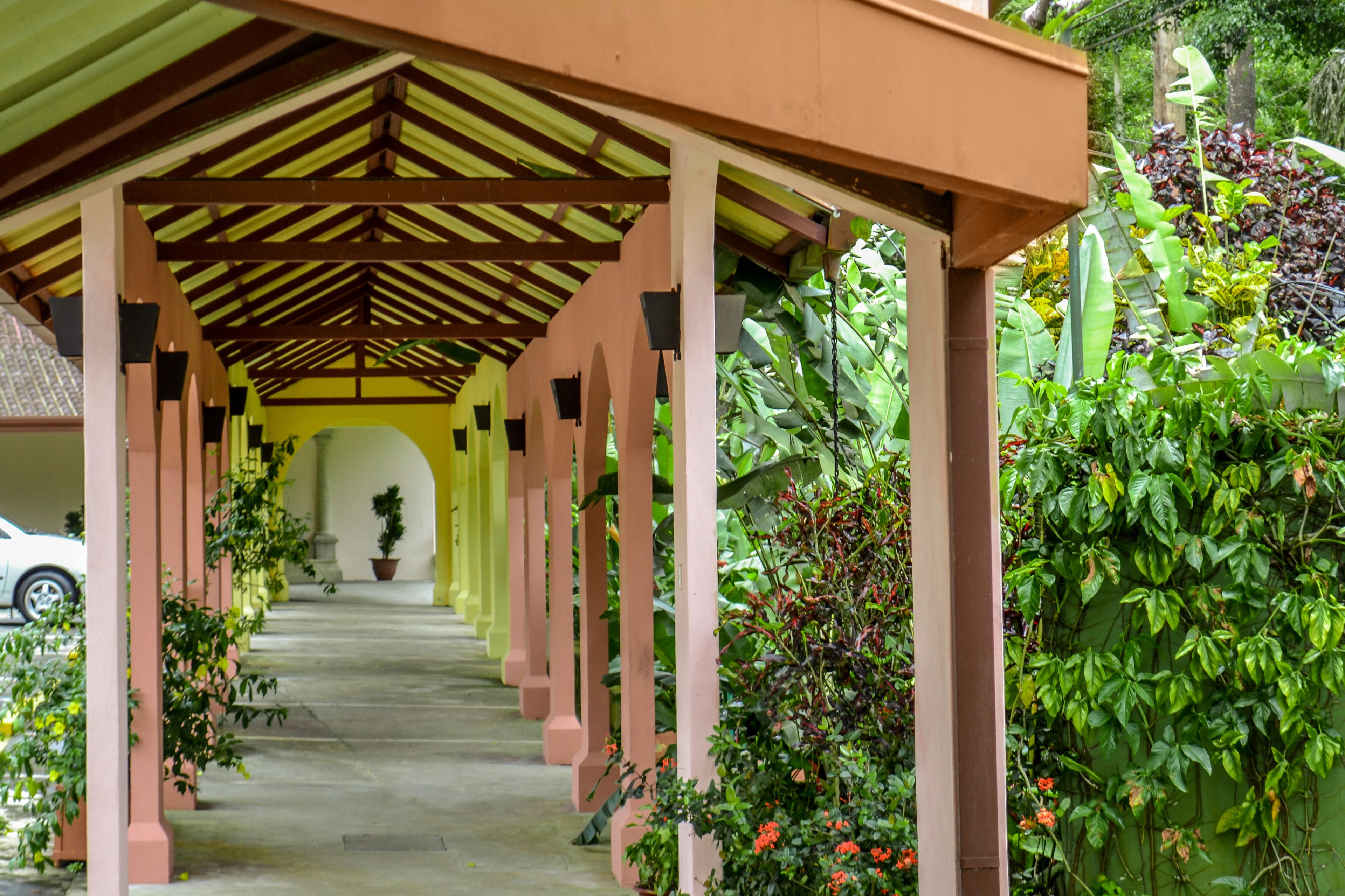 Une allée couverte, agrémentée de colonnes et de plantes en pot, qui mène à l’entrée d’un bâtiment.