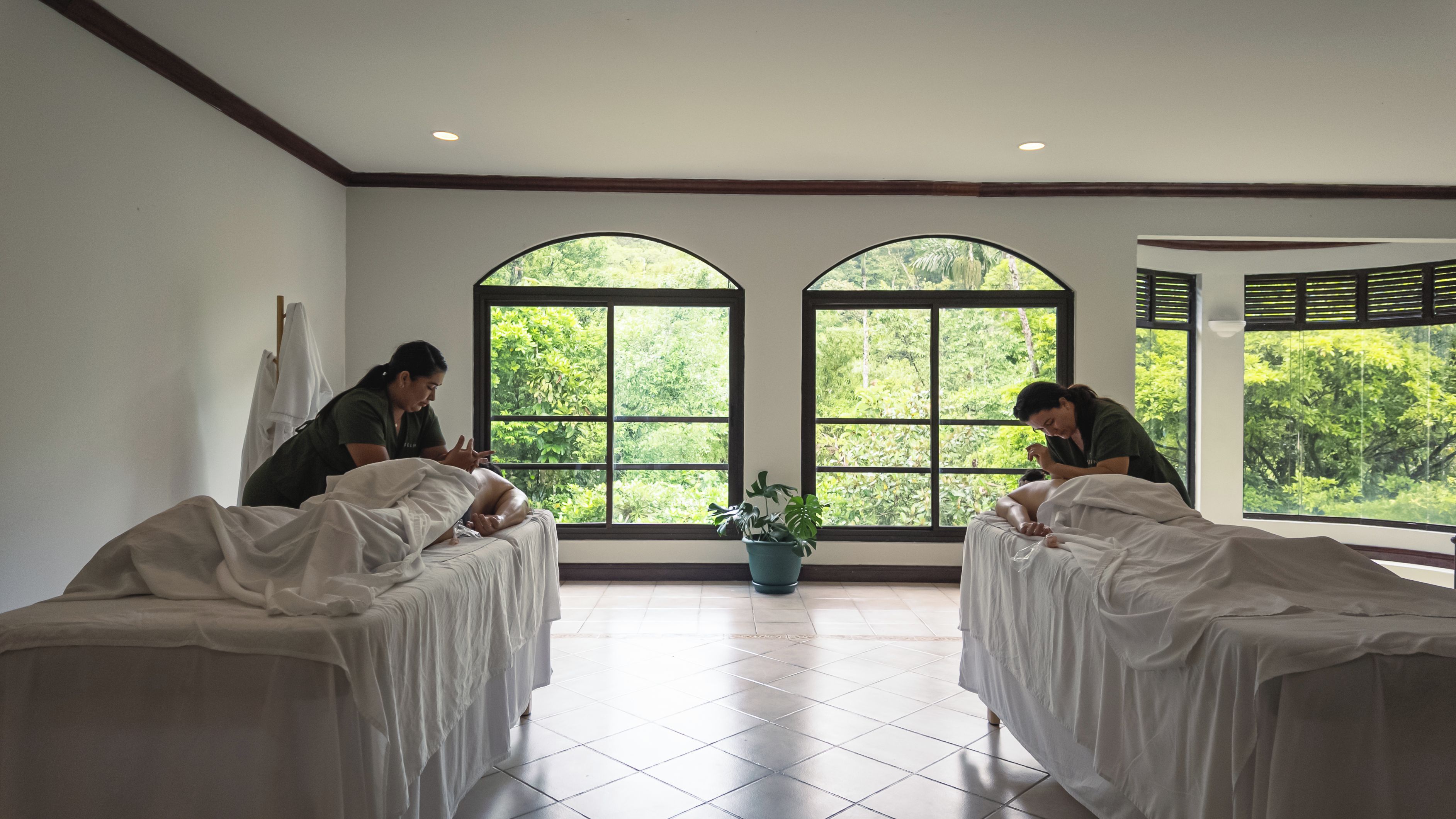 A room with two beds, large windows, and a potted plant.
