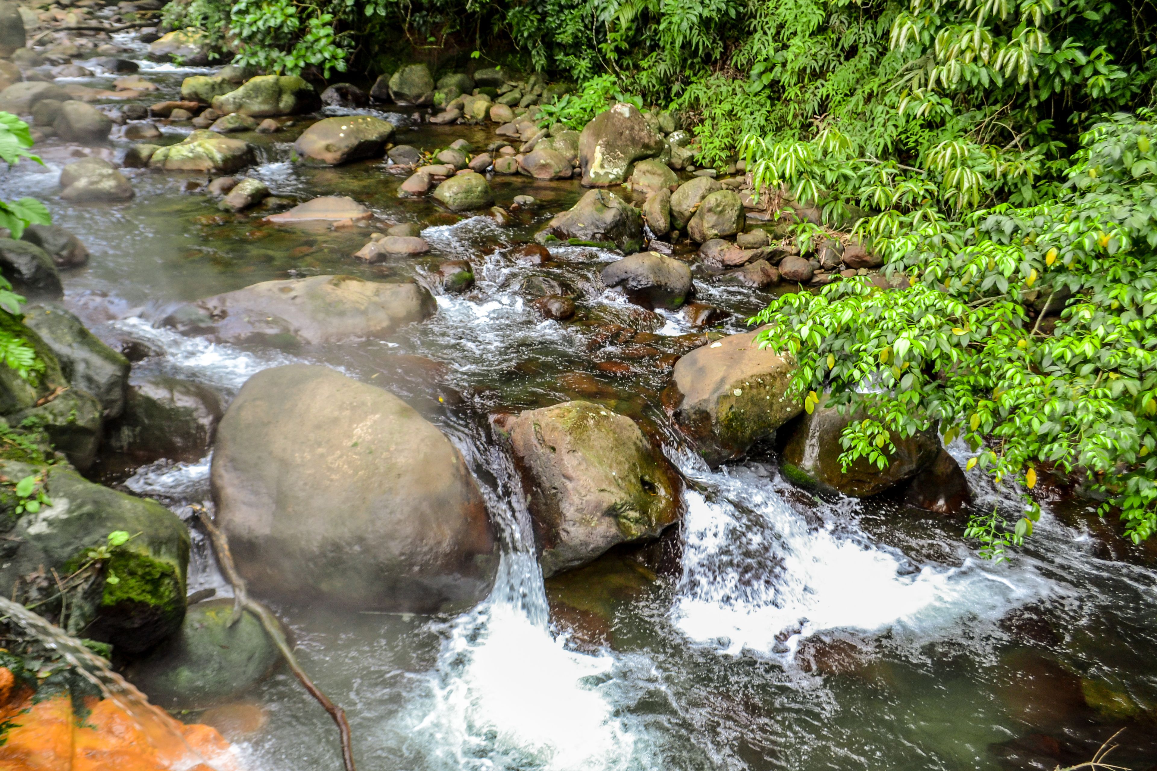 Foto - El Tucano Resort & Thermal Spa