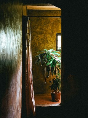 Une pièce avec une plante en pot sur une étagère, une porte en bois et un mur à texture.