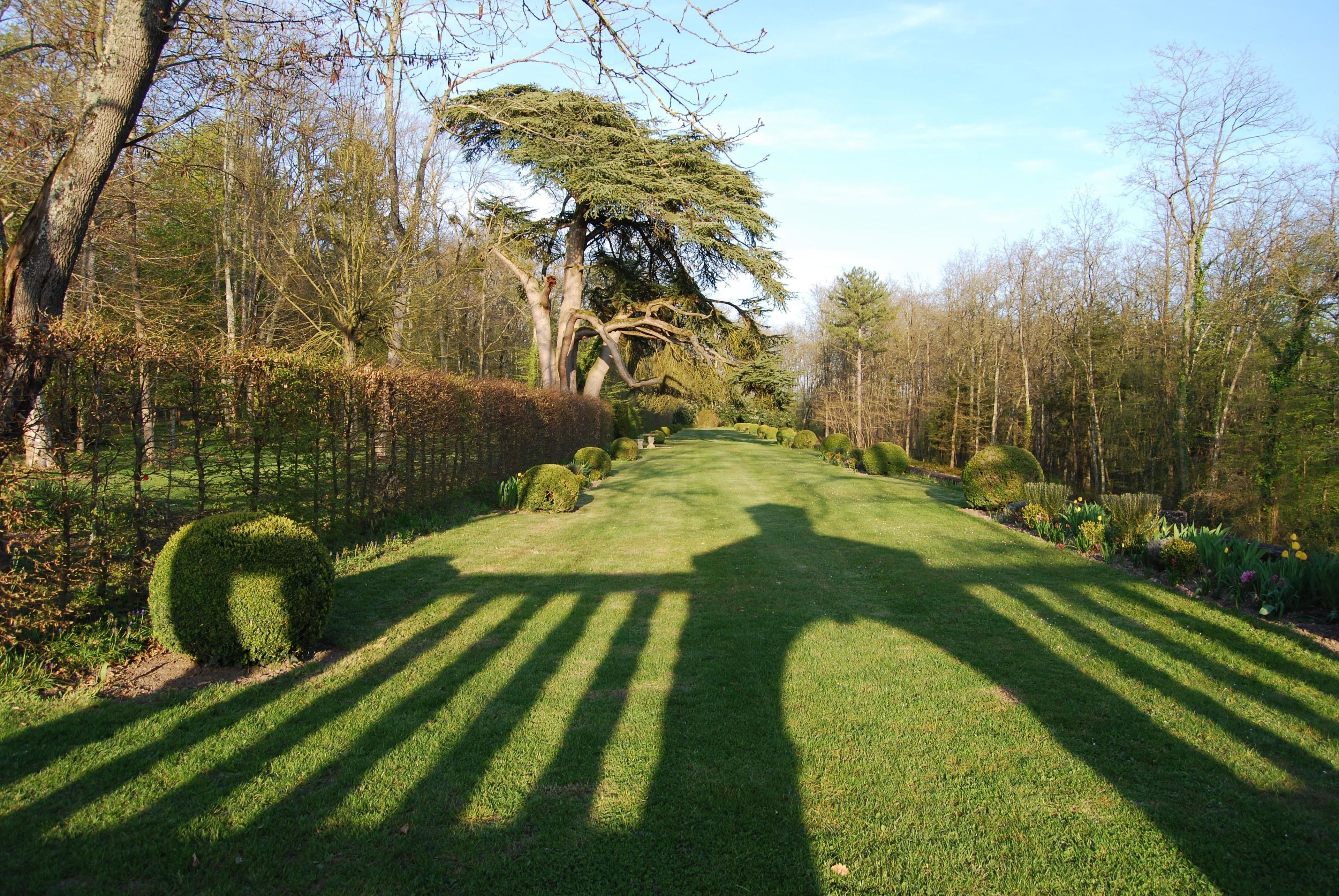 Ein gepflegter Garten mit einer symmetrischen Hecke und einem großen Baum in der Mitte.