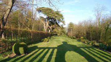 Ein gepflegter Garten mit einer symmetrischen Hecke und einem großen Baum in der Mitte.