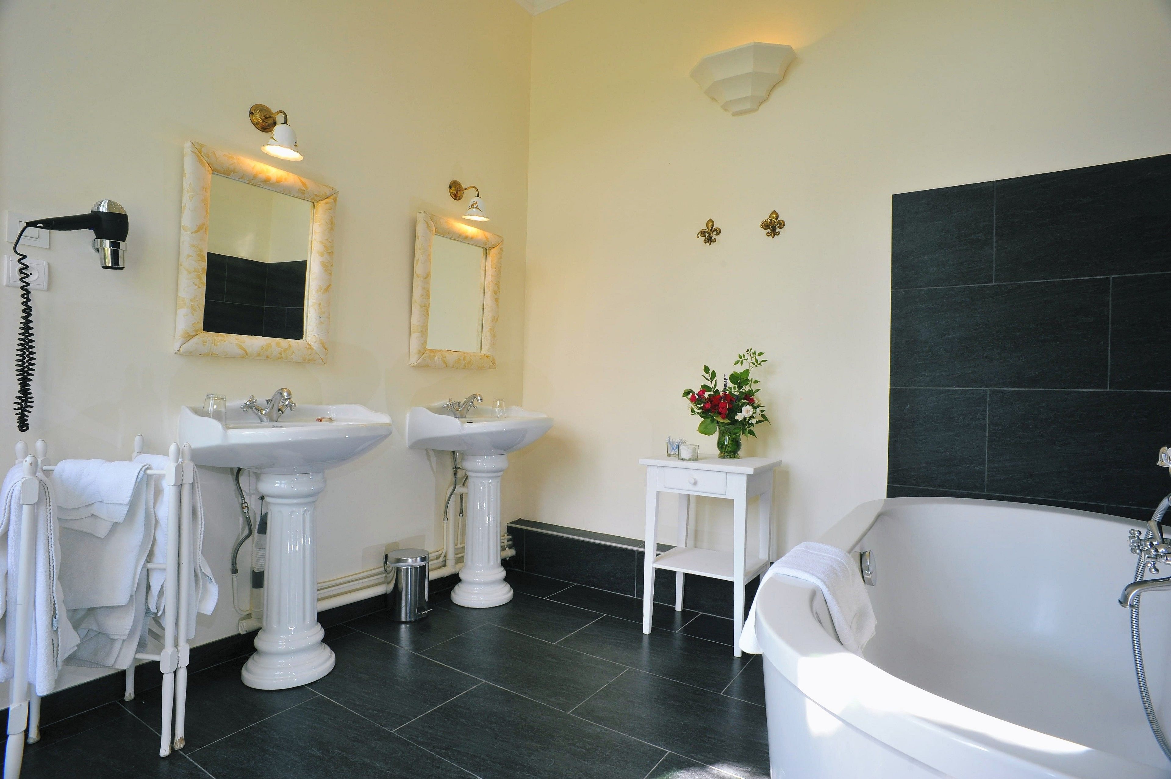 free toiletries, hair dryer, towels