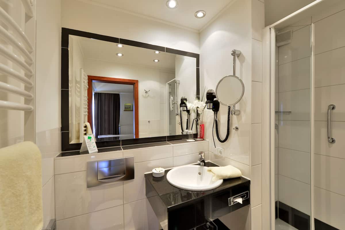 business single room | bathroom | hair dryer, towels