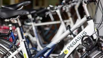Une rangée de vélos de la marque « PEGASUS », dont le nom est visible sur le cadre.