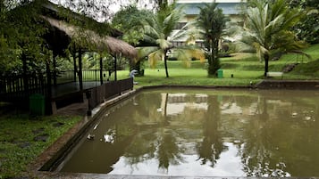 Jardín