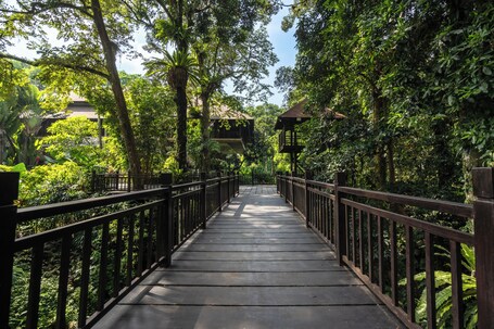 Jardim