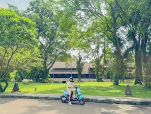 Scooter/moped