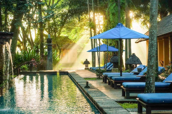 Piscine extérieure, parasols de plage, chaises longues