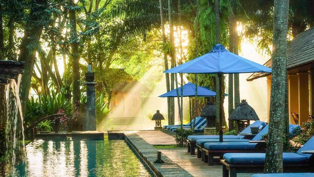 A serene pool area with lounge chairs and umbrellas, surrounded by lush greenery and a stone pathway. - Novotel Bogor Golf Resort & Convention Center (Bogor)