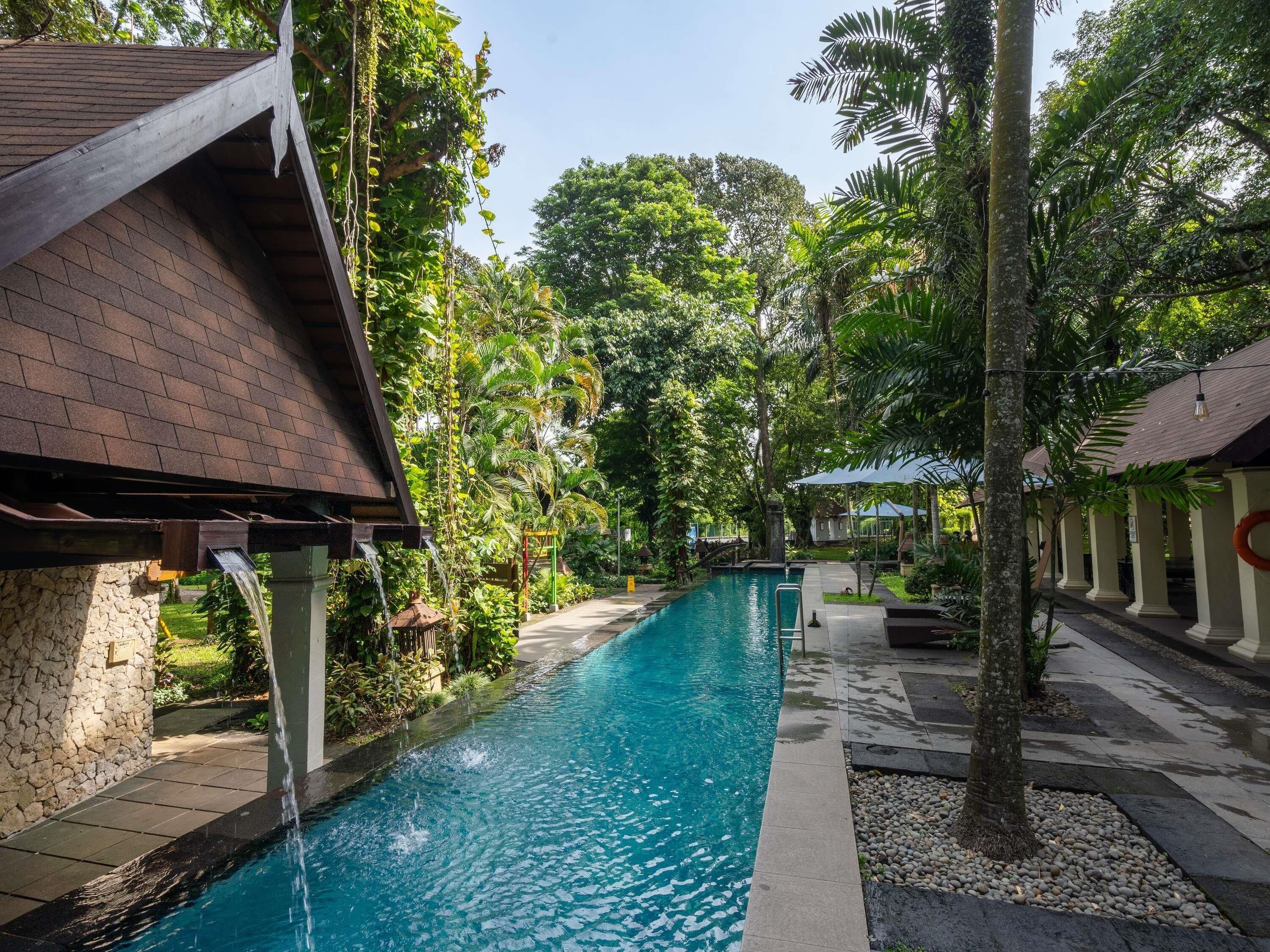 Kolam renang outdoor, dengan payung kolam renang dan kursi berjemur