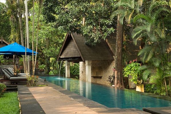 Una piscina al aire libre, sombrillas, sillones reclinables de piscina