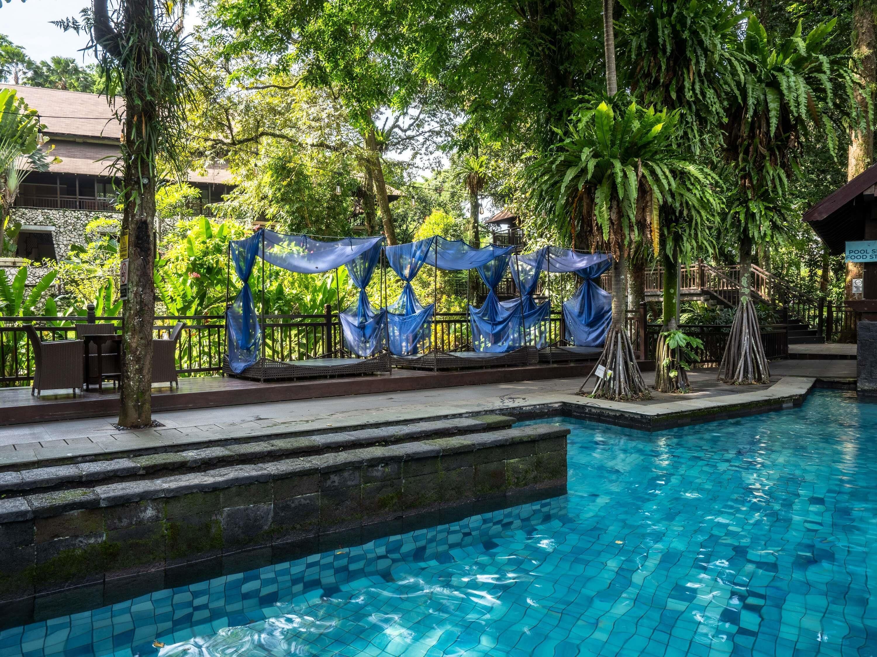 Outdoor pool, open 8:00 AM to 5:00 PM, pool umbrellas, pool loungers