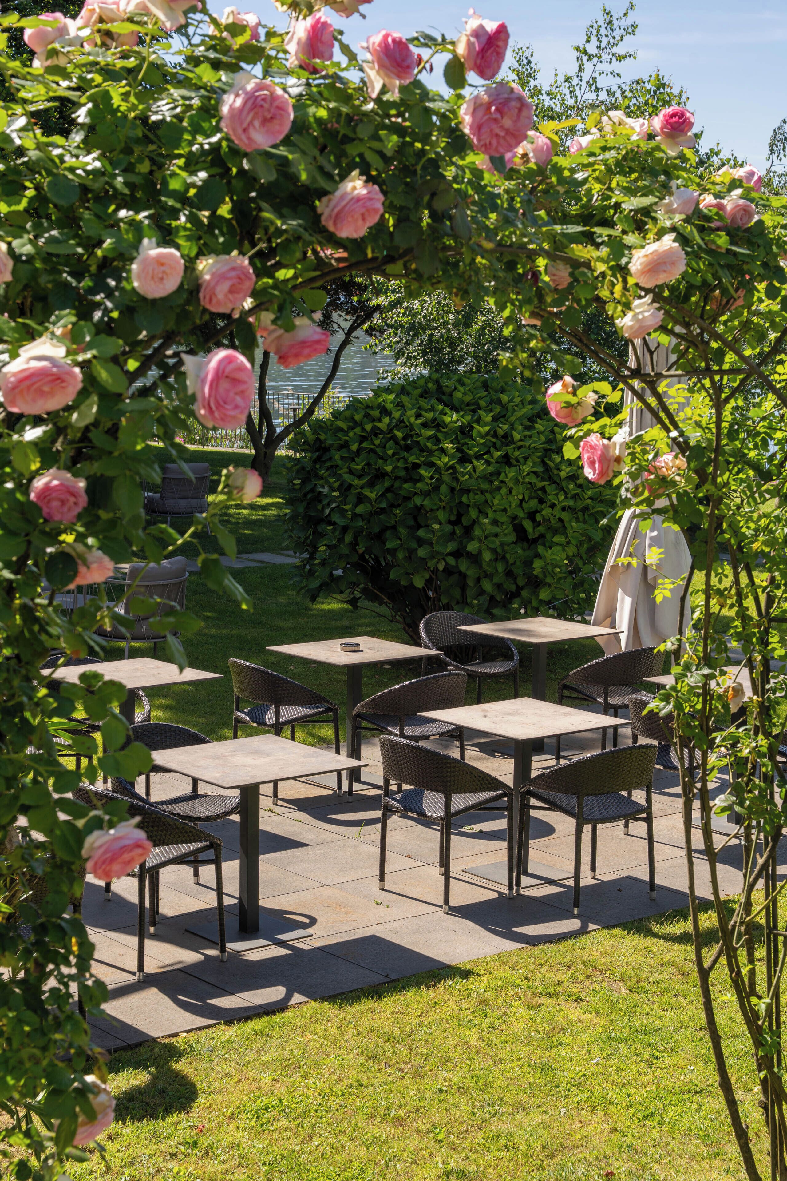 Une terrasse extérieure avec des tables et des chaises, entourée d’une végétation luxuriante et de roses roses en pleine floraison.