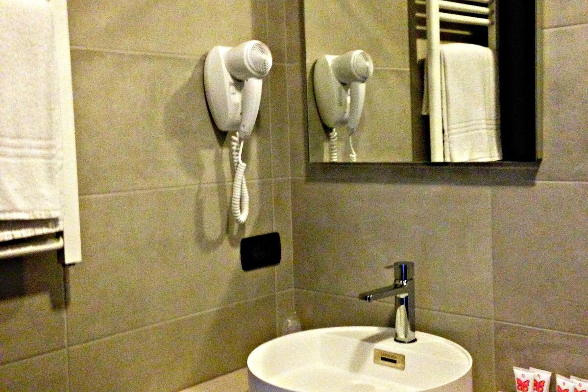 shower, free toiletries, hair dryer, bidet