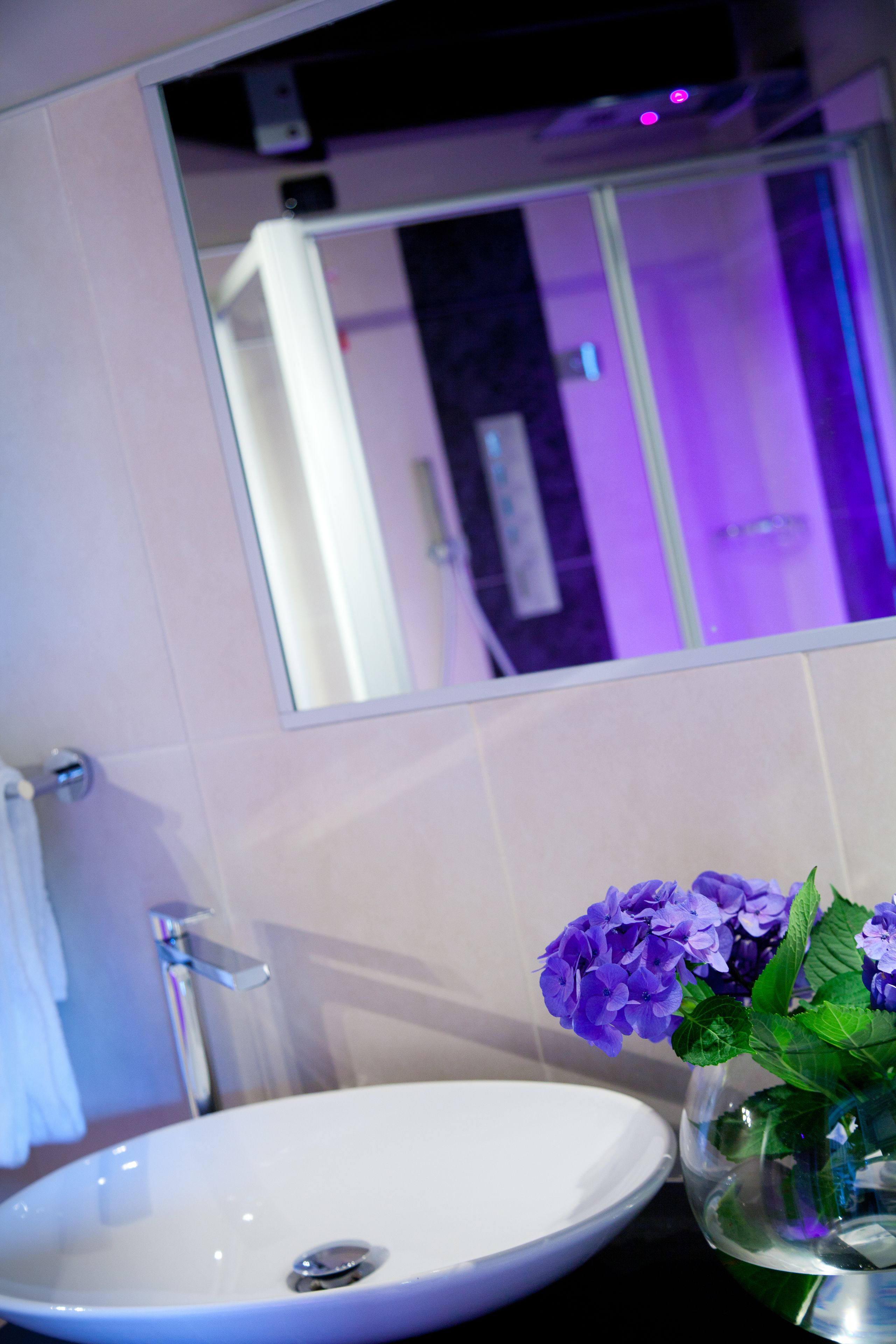 shower, free toiletries, hair dryer, bidet