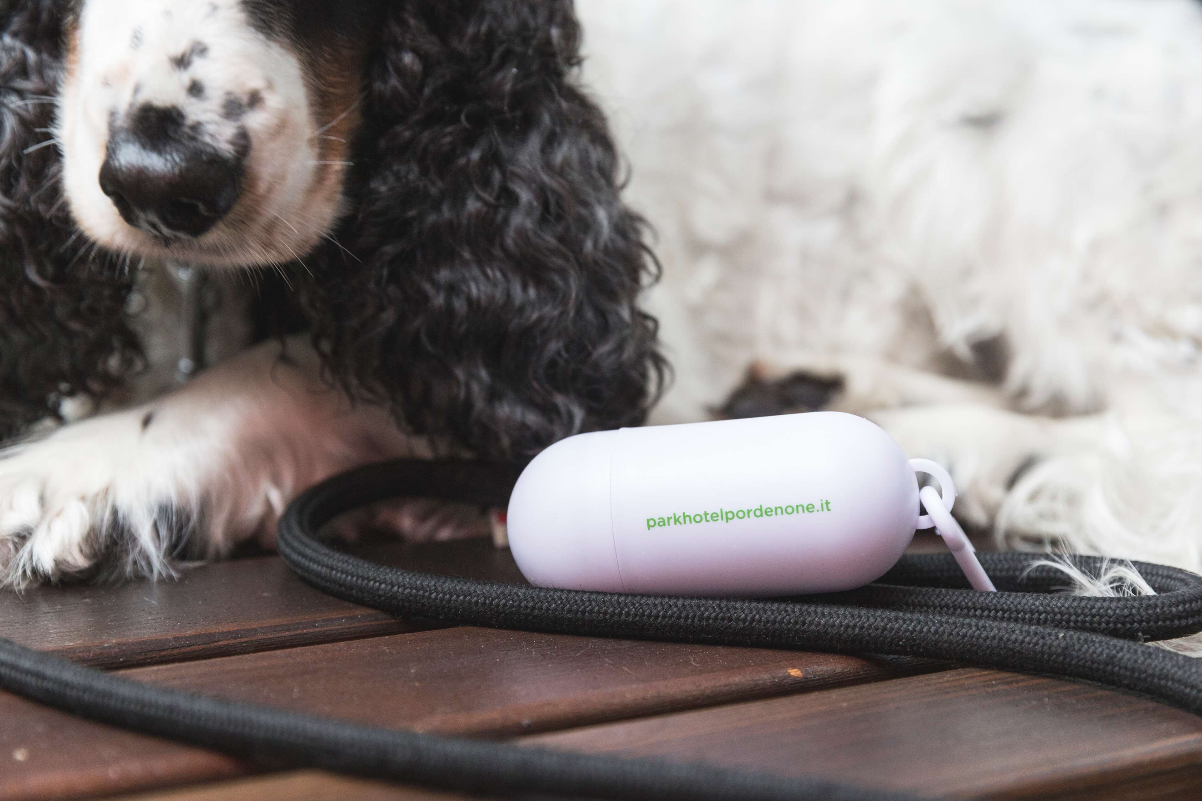 pet-friendly amenities