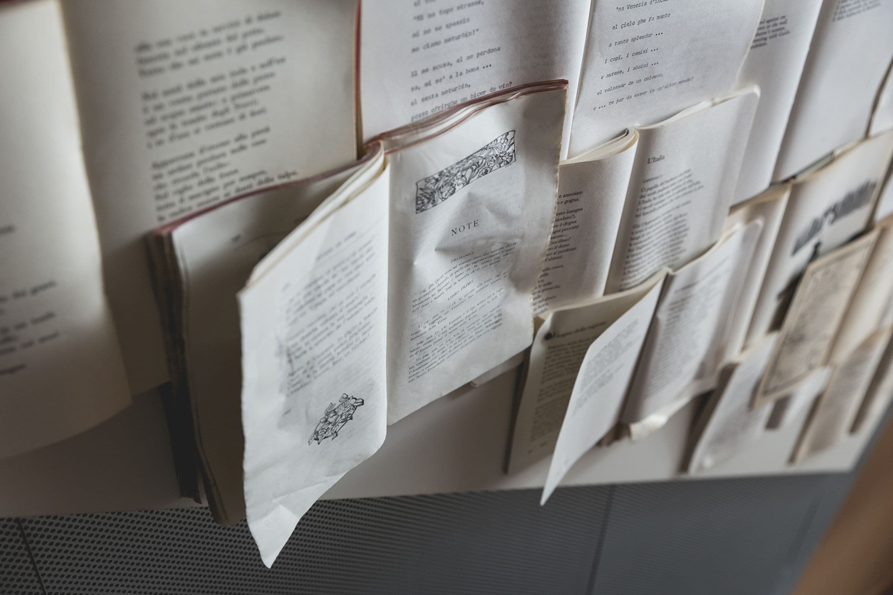 Foto - Best Western Plus Park Hotel Pordenone