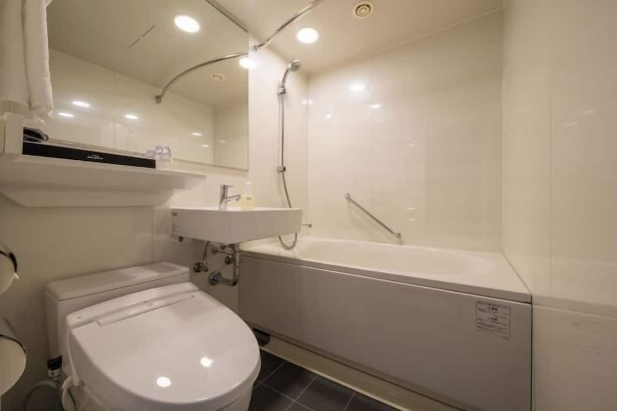 Shower, free toiletries, hair dryer, slippers