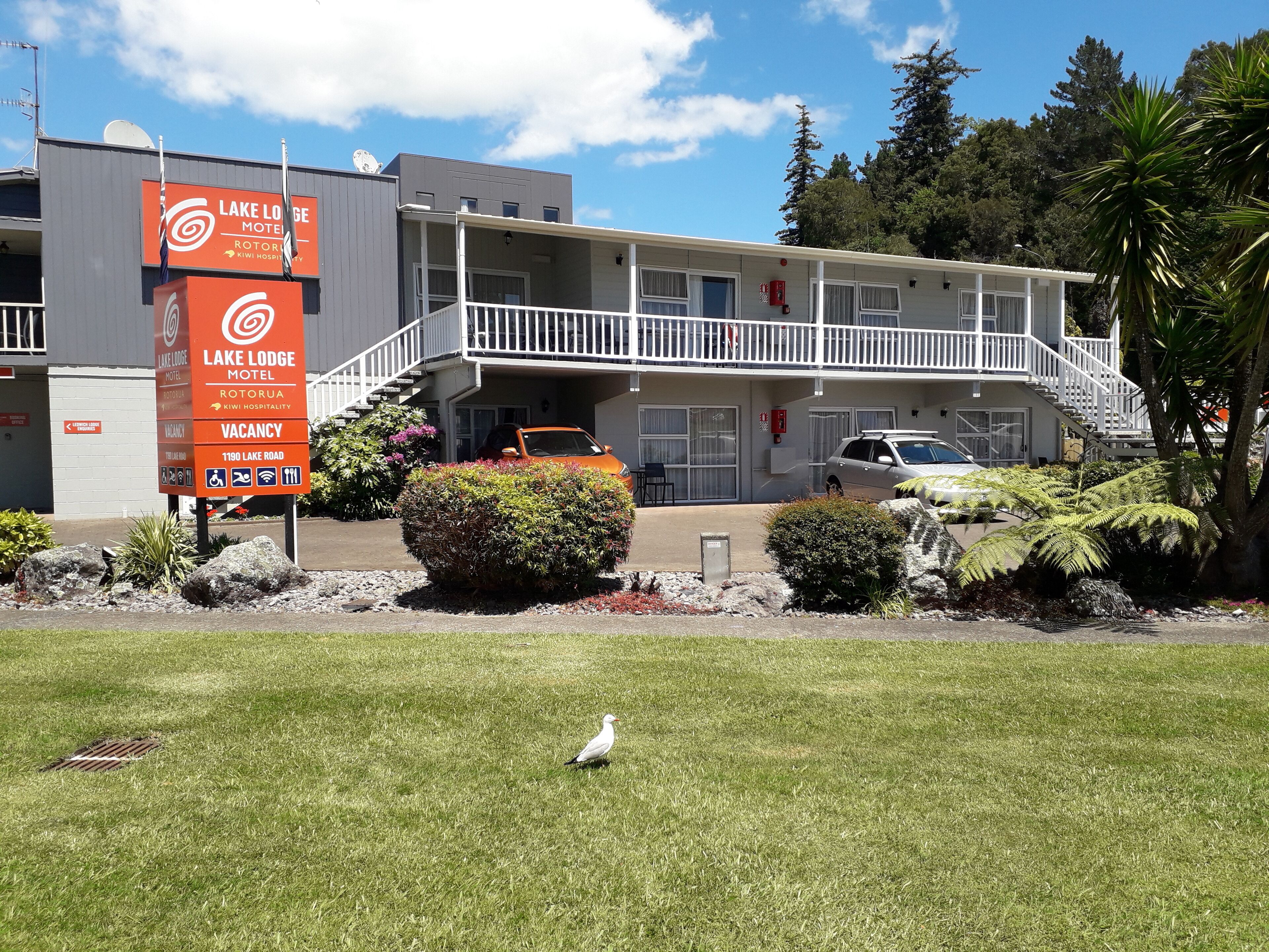 Um motel com uma placa indicando disponibilidade, área de estacionamento coberta e um gramado com um pássaro.