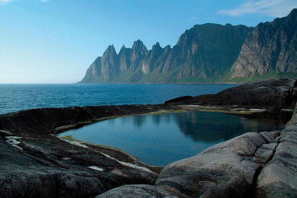 Natural pool
