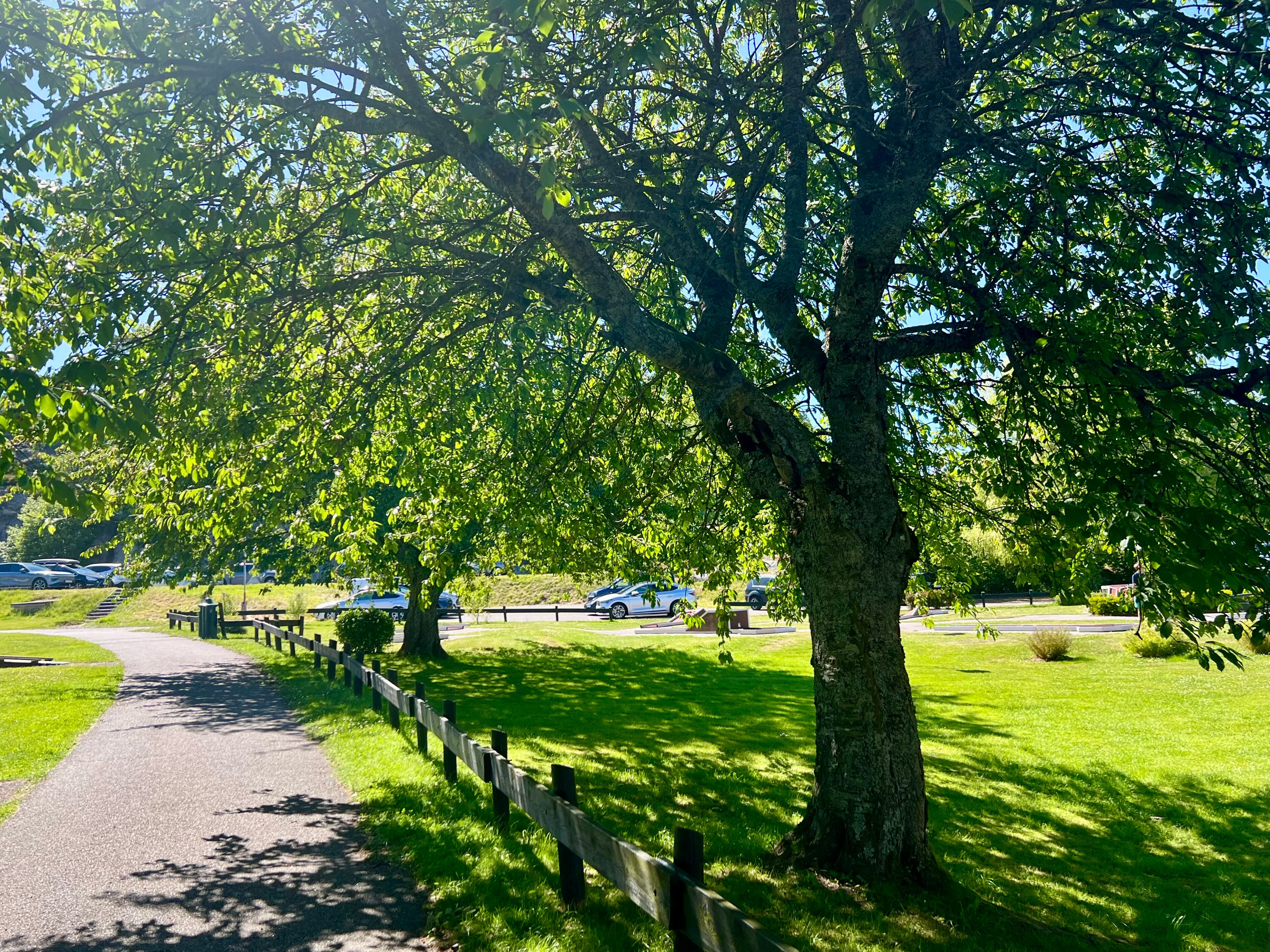 A paved path with a wooden fence, surrounded by lush green grass and trees.