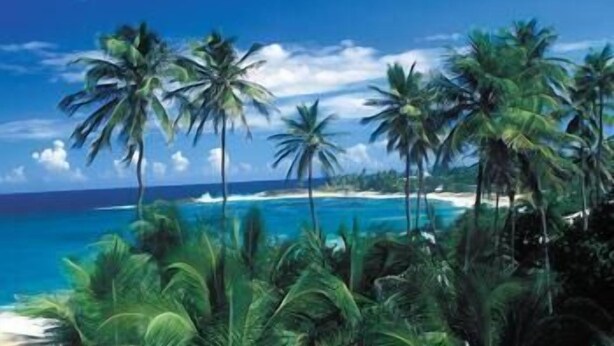 A tropical beach scene with palm trees and a clear blue sky. - Villas de Costa Dorada Isabela (Isabela)