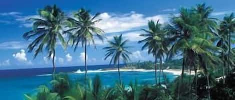 Vista a la playa o al mar