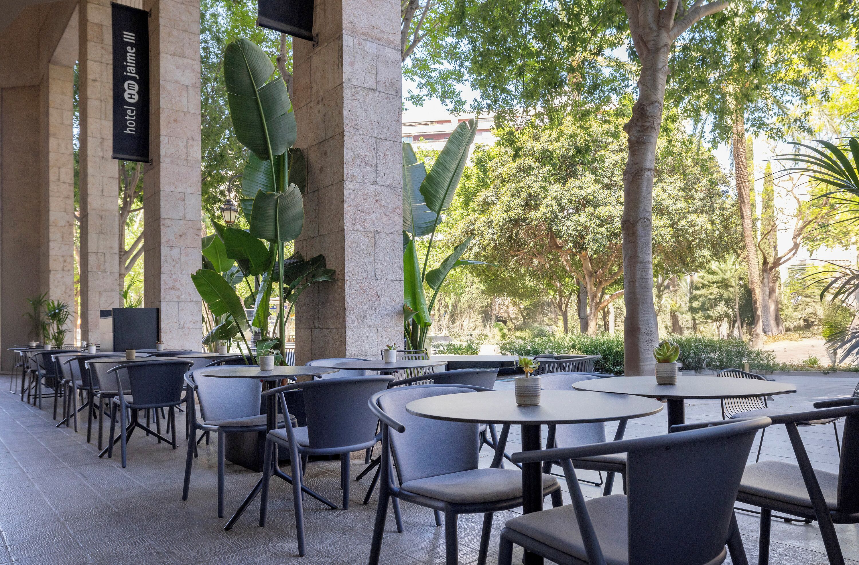An outdoor seating area with round tables and chairs, surrounded by large potted plants and trees.