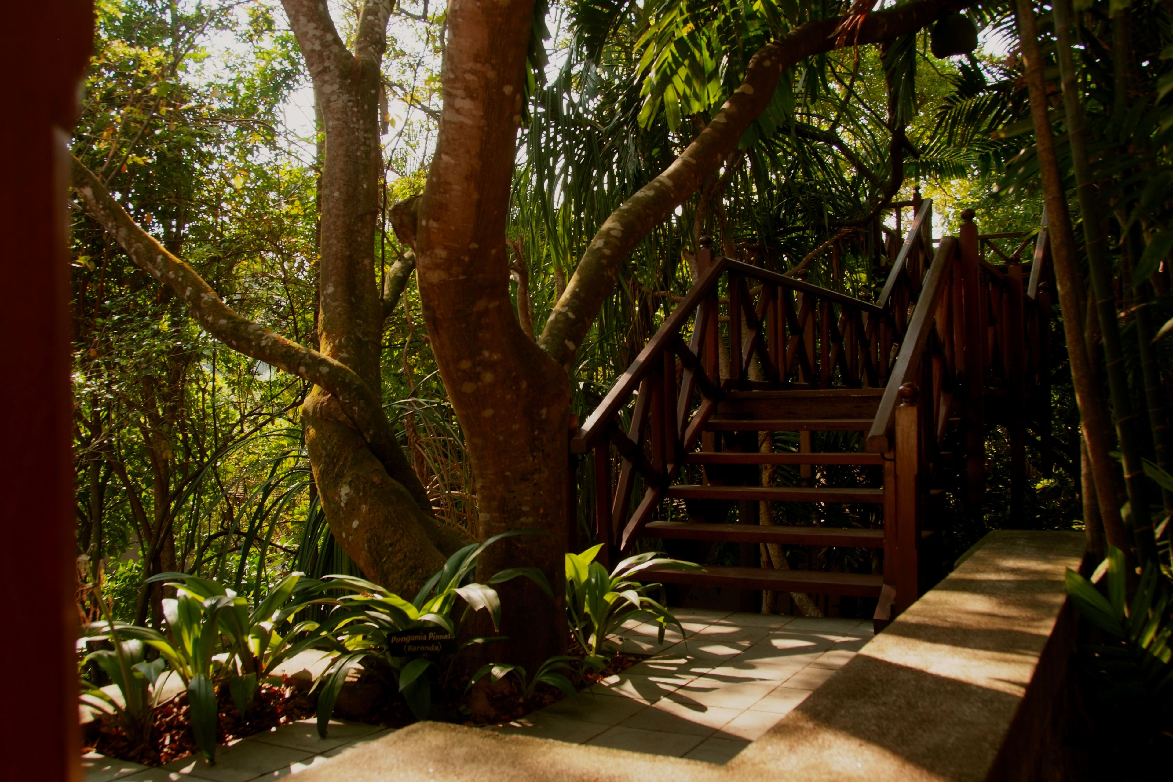 Photo - Jetwing Saman Villas, A Luxury Reserve - Adults Only