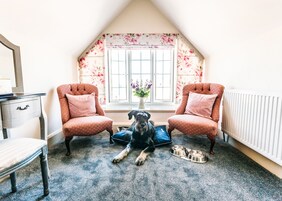 Una habitación acogedora con dos sillones estampados, una mesa de madera y un perro descansando en el suelo.