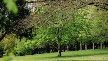 A park with a grassy area, trees, and a variety of flowers.