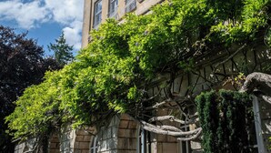 A historic building with classical architecture, large windows, and lush greenery.