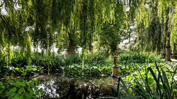 A serene garden with a pond, lush greenery, and a gazebo. - Rookery Hall Hotel (Nantwich)