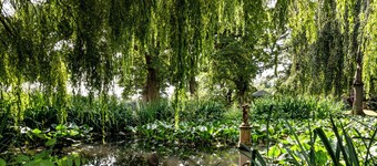 Rookery Hall Hotel