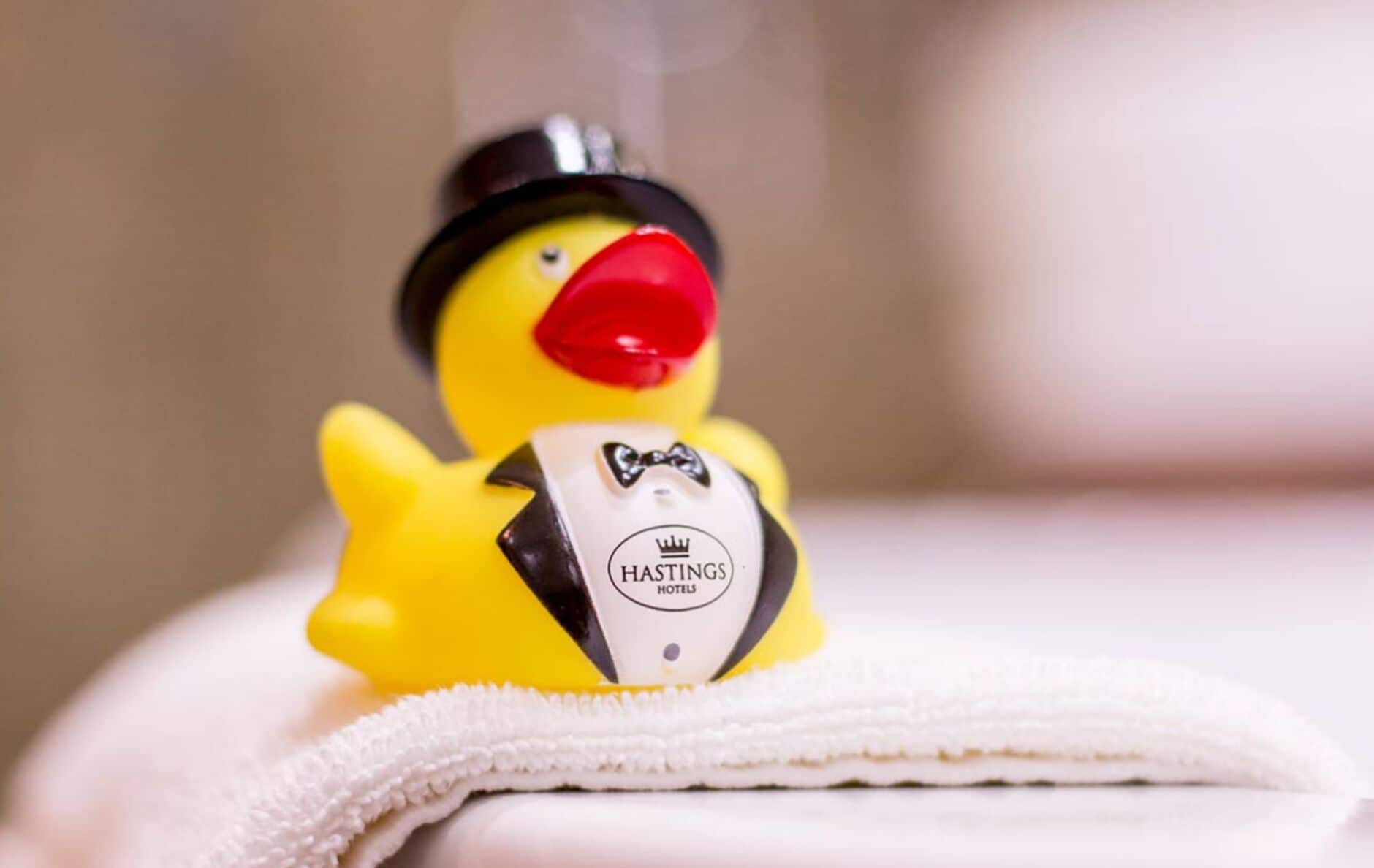 combined shower/bathtub, free toiletries, hair dryer, towels