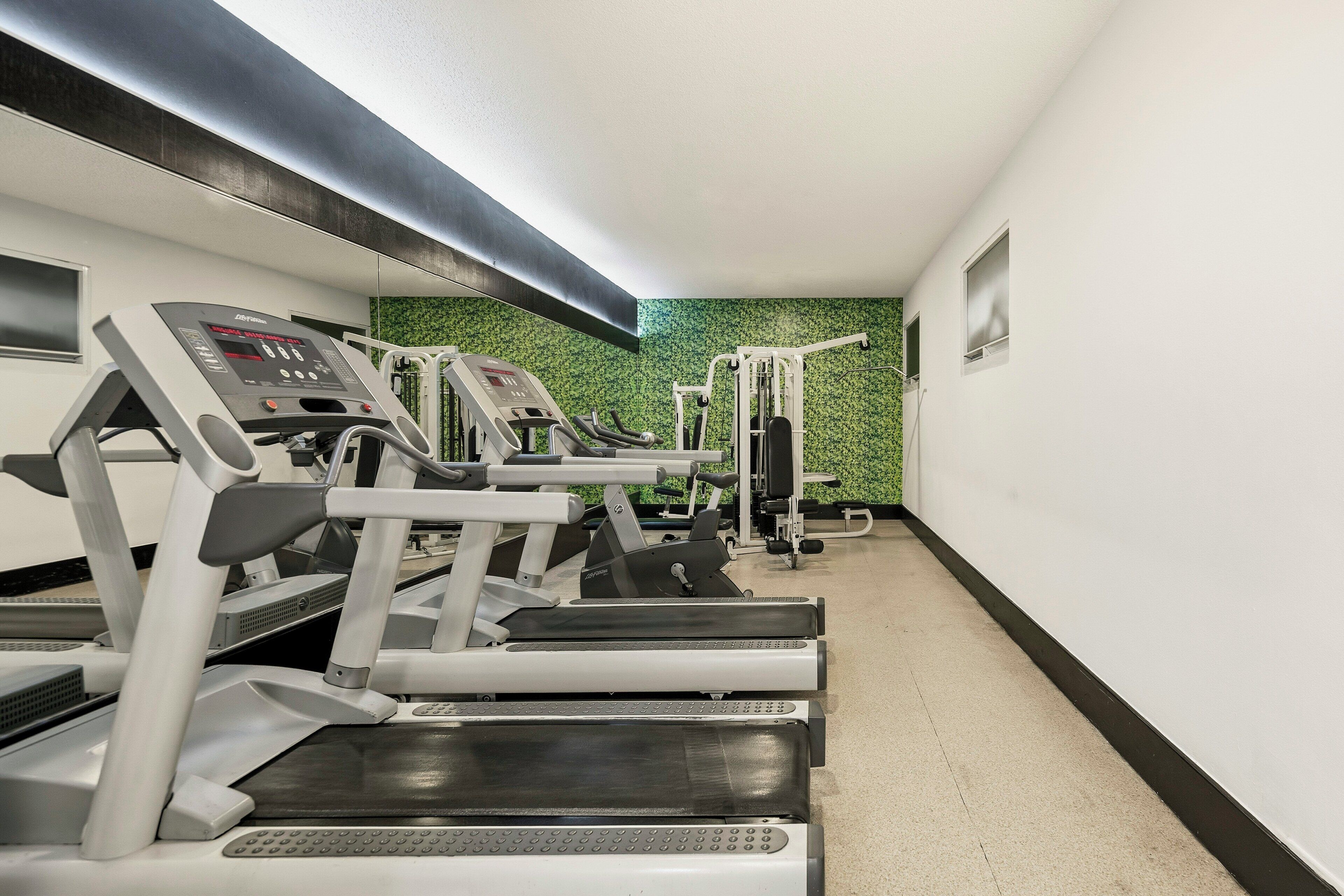 Un gimnasio con cintas de correr, máquinas de pesas y una pared verde.