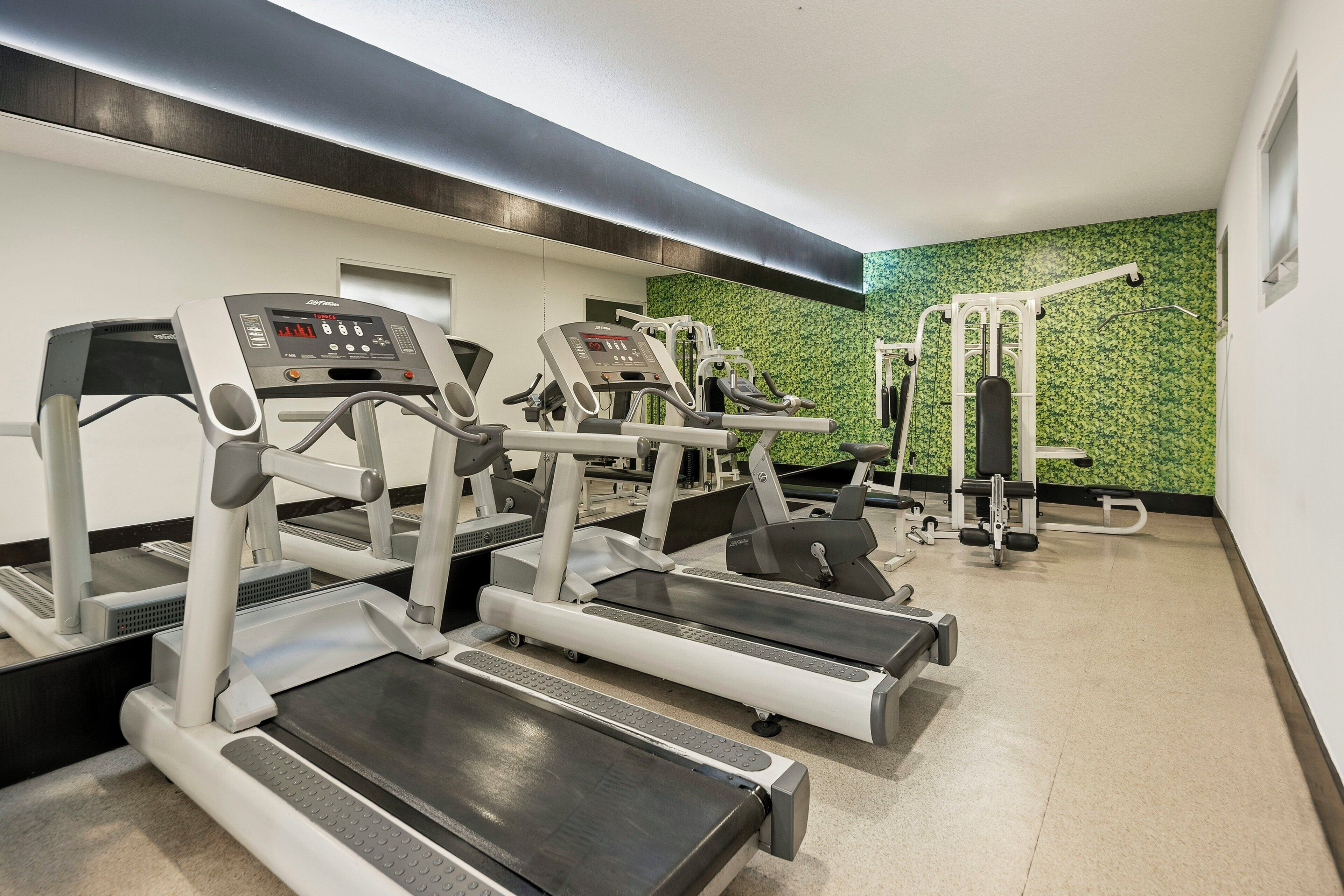 Gimnasio