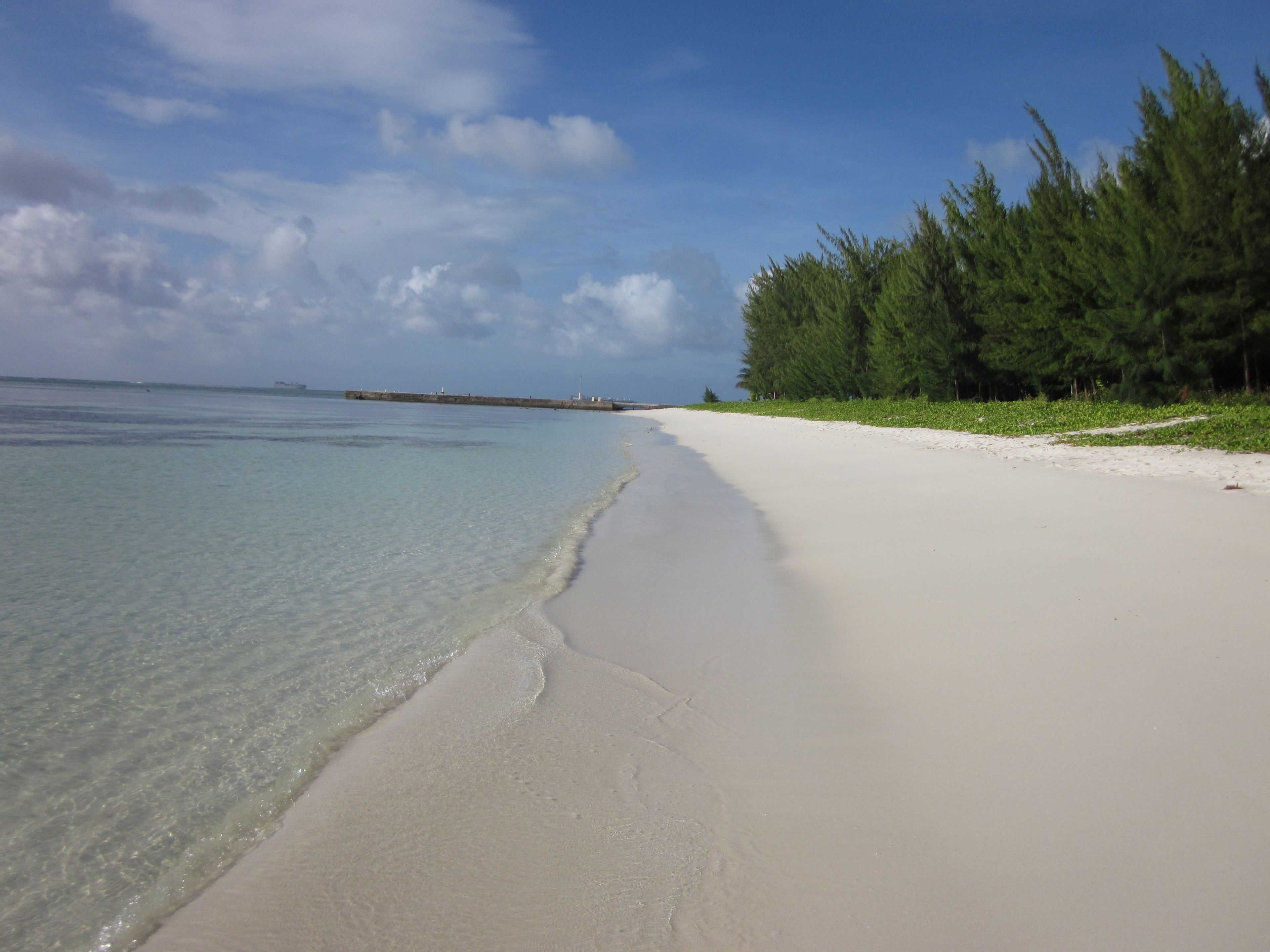 A beach with clear shallow waters, a sandy shore, and a line of green trees.