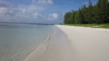 A beach with clear shallow waters, a sandy shore, and a line of green trees.